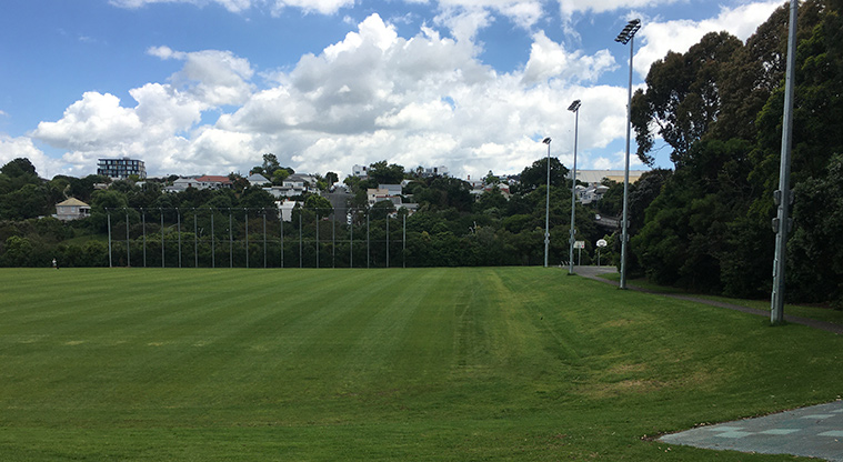 Nixon Park - Sports fields with flood lights along the side. Photo credit: S Hulse.