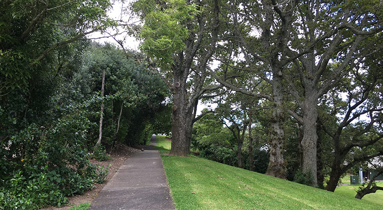Nixon Park - Path along the top of the park leading to the Central Road entrance. Photo credit: S Hulse.