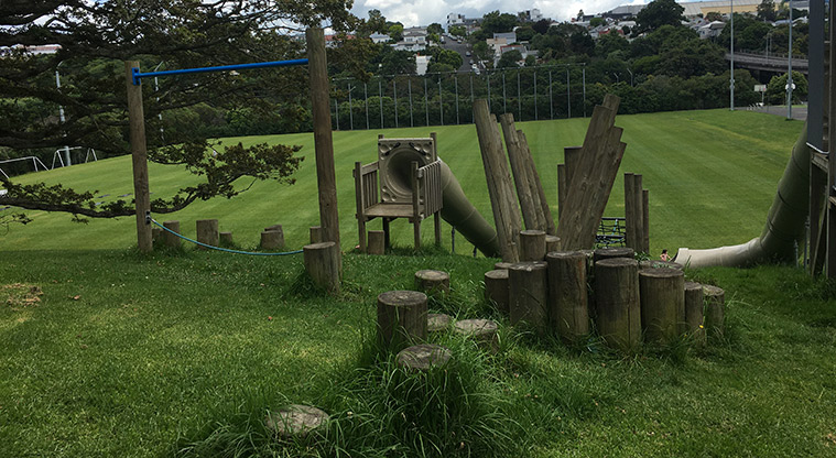 Nixon Park - Climbing logs and balancing rope for the older kids. Photo credit: S Hulse