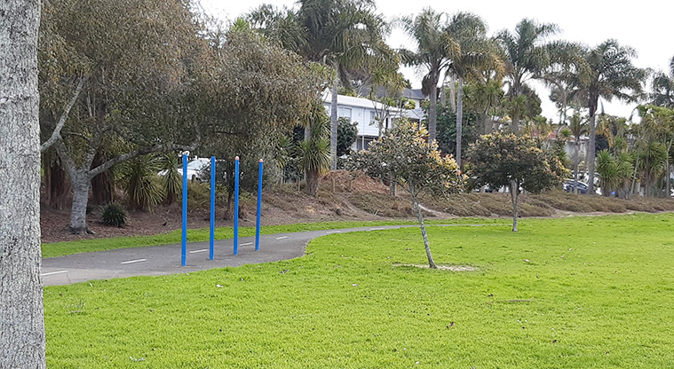 Normanton Reserve - Blue weaving poles along a section of the path. Photo credit: S Hulse.