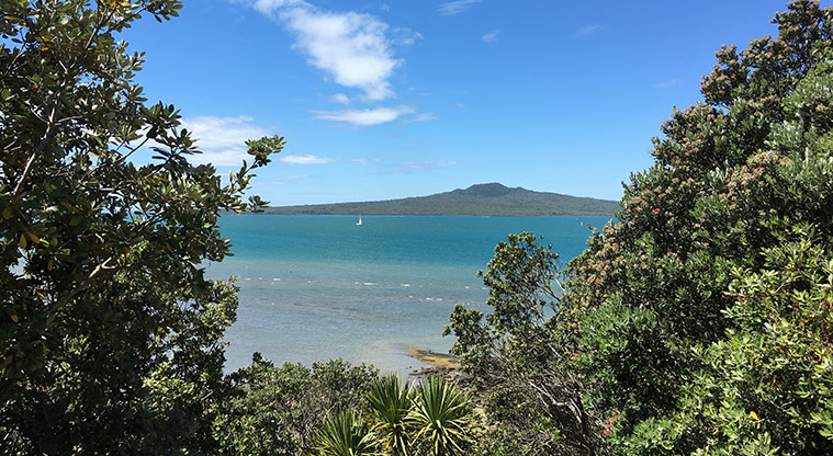 Maungauika / North Head - View through the trees to Rangitoto Island.