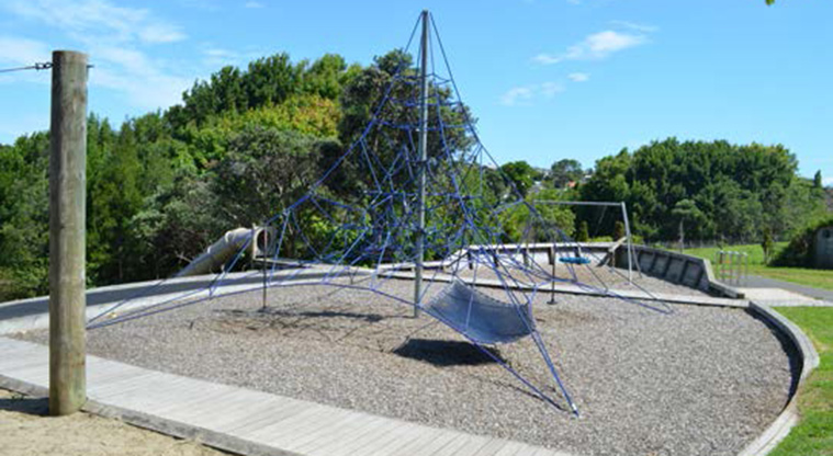 Northboro Reserve - Spider nets.