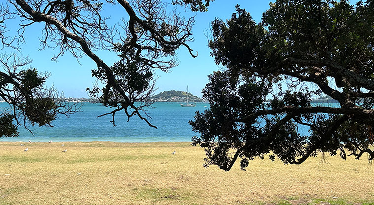 Okahu Bay Reserve - View through the trees and out of the bay. Photo credit: S Hulse.