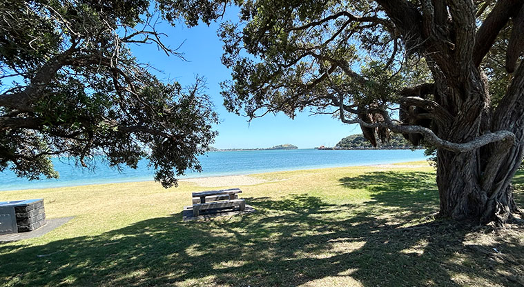 Okahu Bay Reserve - One of the barbecues and picnic tables under the trees. Photo credit: S Hulse.