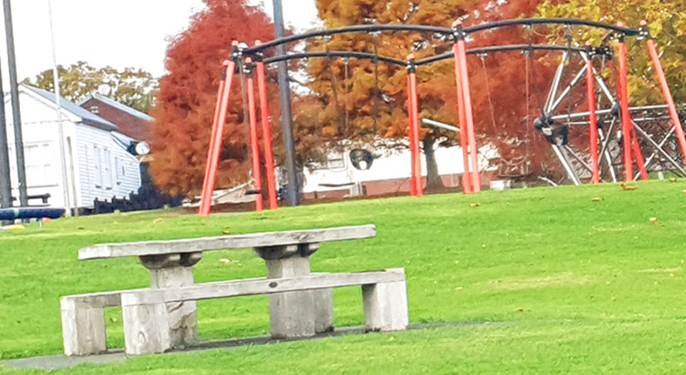Olympic Park - Picnic table with swings in the background on the Wolverton Street side of the park.