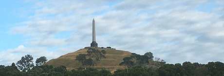 One Tree Hill Domain