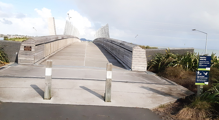 Onehunga Bay Reserve - Taumanu Bridge leading over the motorway to Taumanu Reserve.