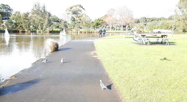 Onepoto Domain - Section of lake on the left with a wide path and picnic tables on the right.