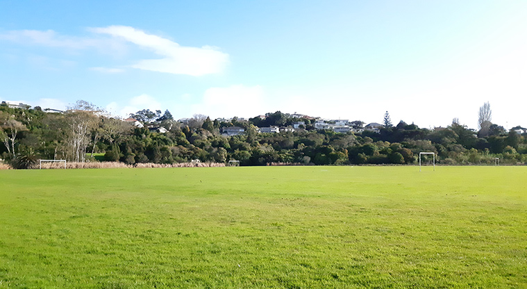 Onepoto Domain - Sports fields with trees and houses in the background.