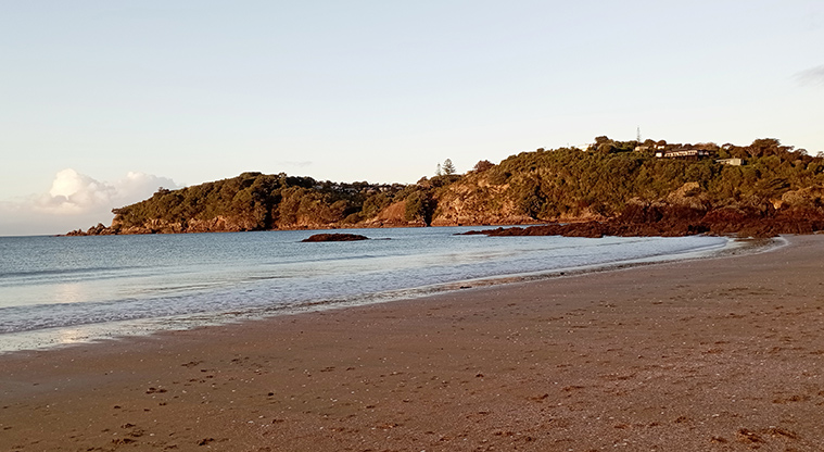 Oneroa Beach Reserve - Looking east along the beach. Photo credit: K Sumner.