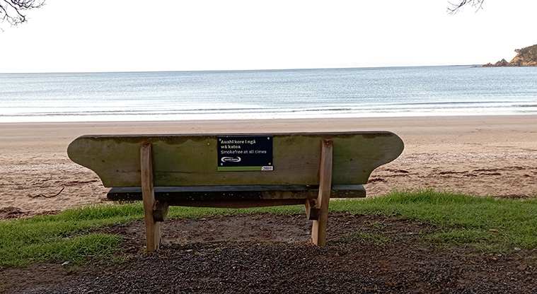 Oneroa Beach Reserve - Seat with a view over the beach and bay. Photo credit: K Sumner.