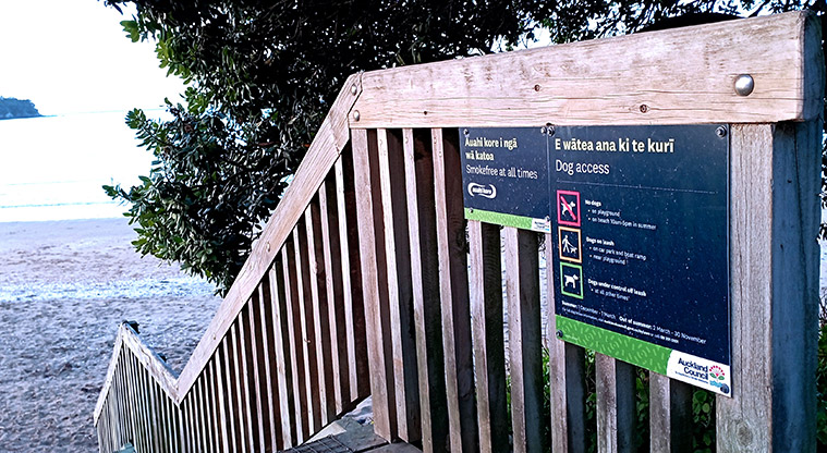 Oneroa Beach Reserve - Set of steps leading down to the beach. Photo credit: K Sumner.