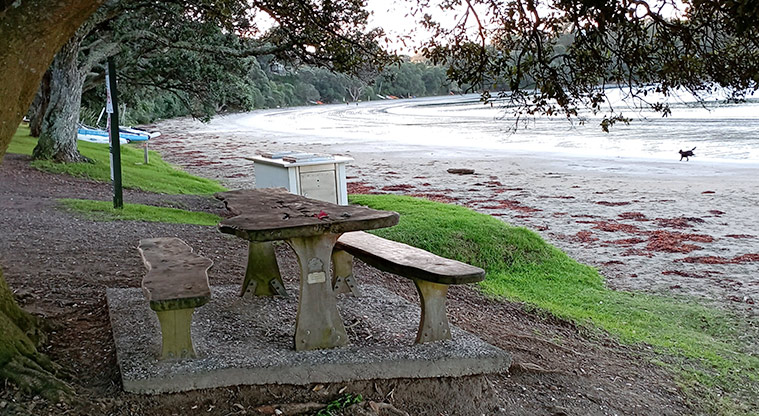 Oneroa Beach Reserve - Picnic table and barbecue with the beach in the background. Photo credit: K Sumner.