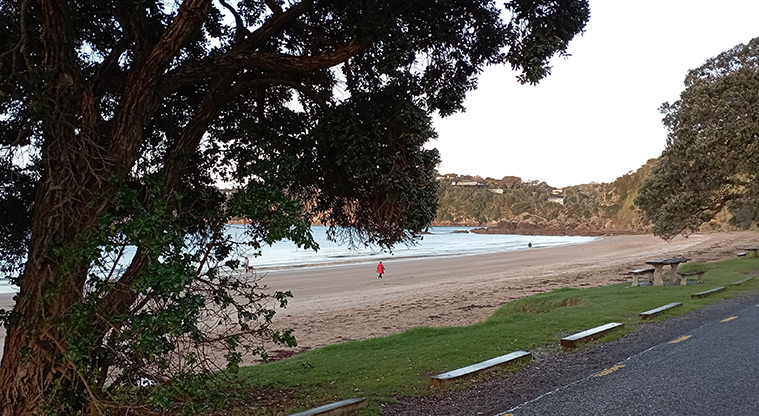 Oneroa Beach Reserve - View from the road looking out over the eastern end of Oneroa Beach and the bay. Photo credit: K Sumner.