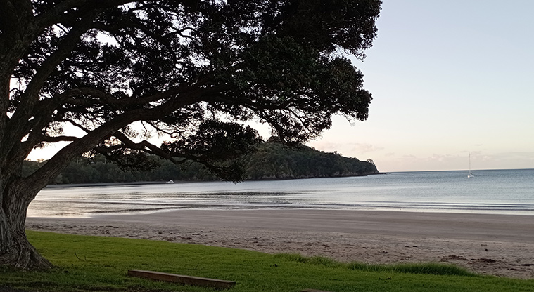 Oneroa Beach Reserve - View from the road looking out over the western end of Oneroa Beach and the bay. Photo credit: K Sumner.