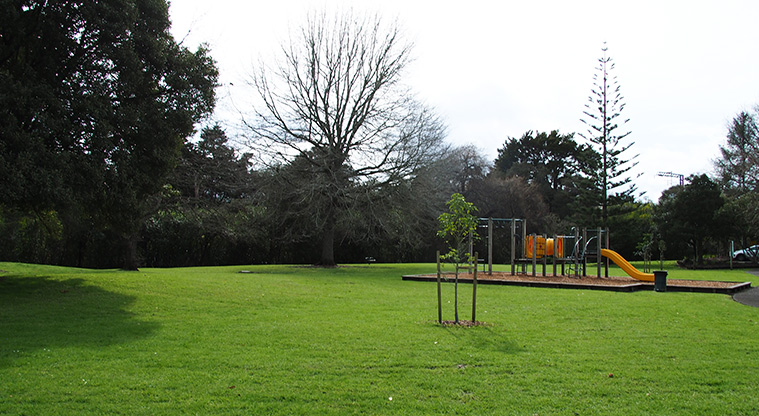 Opanuku Reserve - Open green space with trees and the playground. Photo credit: Tracey Hodder.