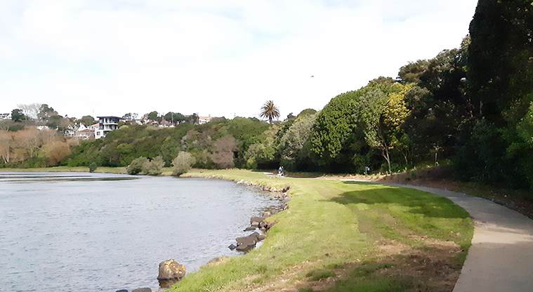 Ōrākei Basin Reserve - Section of the path around the basin with trees and houses in the background.