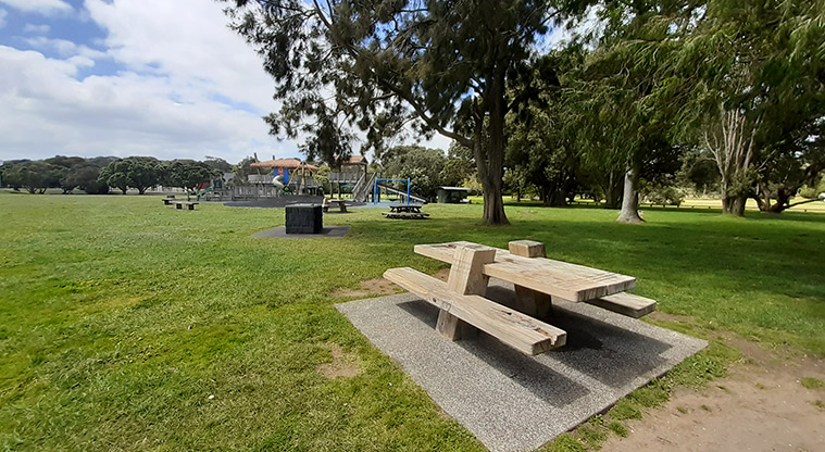 Ōrākei Domain - Open grassed space with picnic tables, a barbecue, the playground and trees.