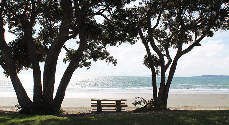 Ōrewa Domain - Picnic table overlooking the beach. Photo credit: M Loubser.