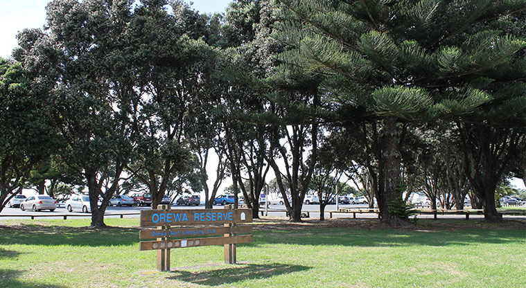 Ōrewa Domain - Open green space, reserve sign and established trees. Photo credit: M Loubser.