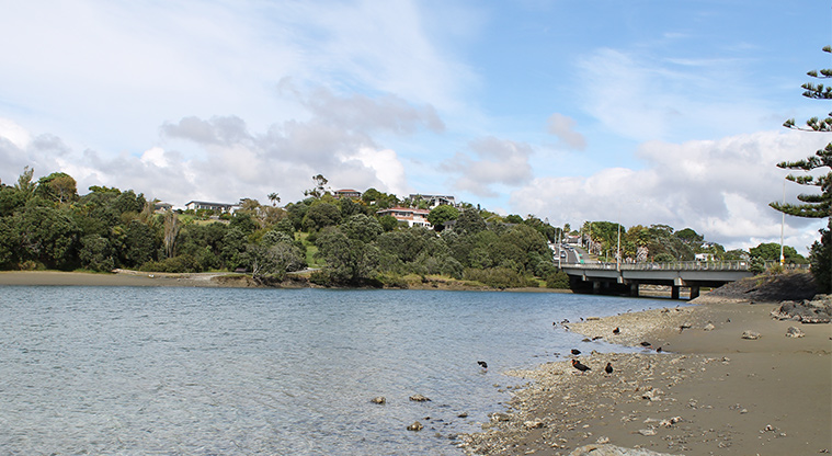 Ōrewa Estuary - Estuary with the bridge and trees in the background. Photo credit: M Loubser.