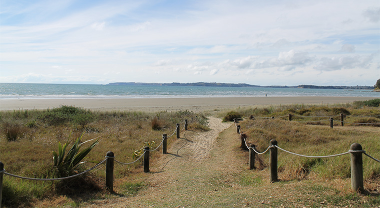 Ōrewa Reserve - Beach access path with bollards and ropes on both sides. Photo credit: M Loubser.
