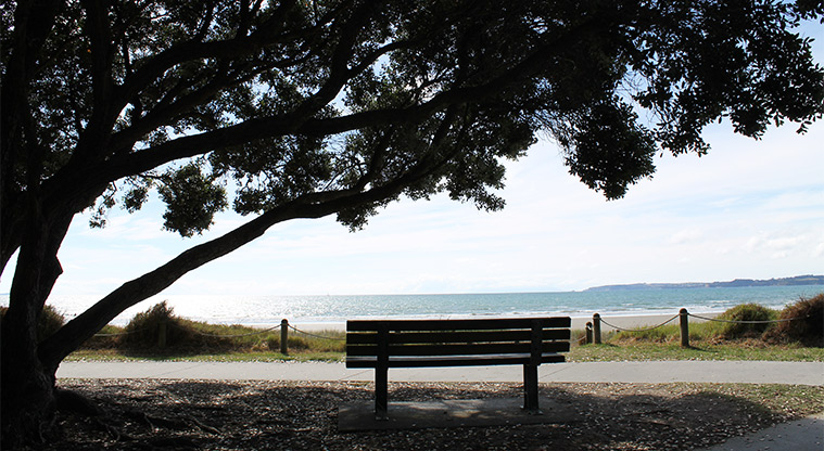Ōrewa Reserve - Park bench under a tree and looking out to sea. Photo credit: M Loubser.