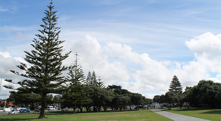 Ōrewa Reserve - Open green space with a path and established trees. Photo credit: M Loubser.