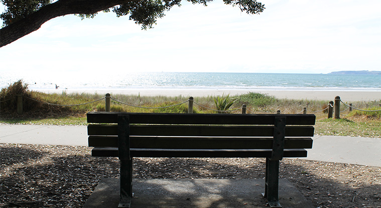 Ōrewa Reserve - Park bench under a tree and looking out to sea. Photo credit: M Loubser.