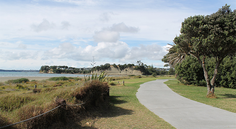 Ōrewa Reserve - Section of path around the waterfront. Photo credit: M Loubser.