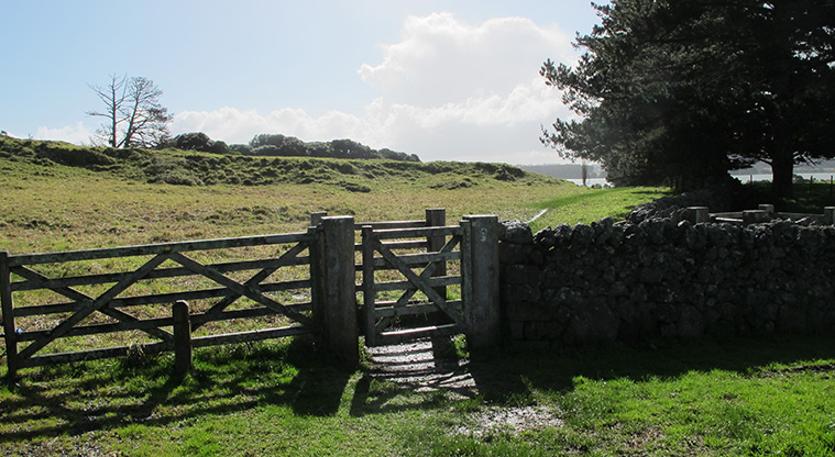 Ōtuataua Stonefields Reserve - The gate at the start of the Ōtuataua Stonefields Path.