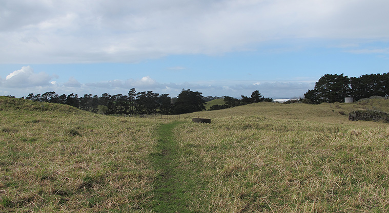 Ōtuataua Stonefields Reserve - One of the paddocks in the reserve.