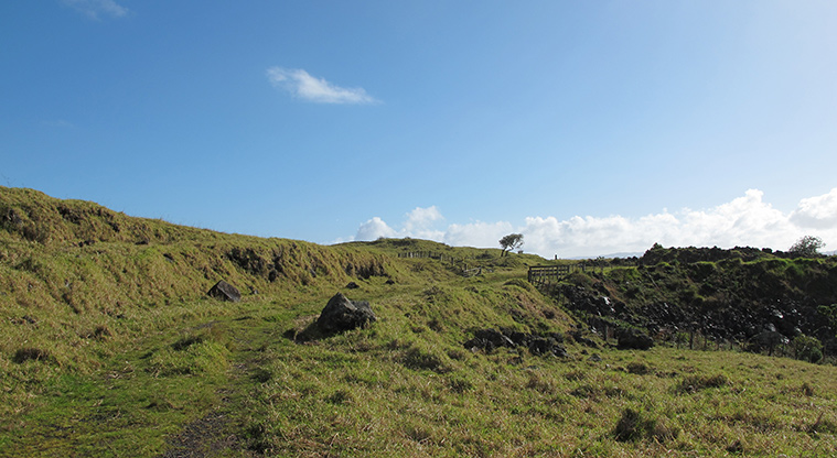 Ōtuataua Stonefields Reserve - A section of path through the stonefields.