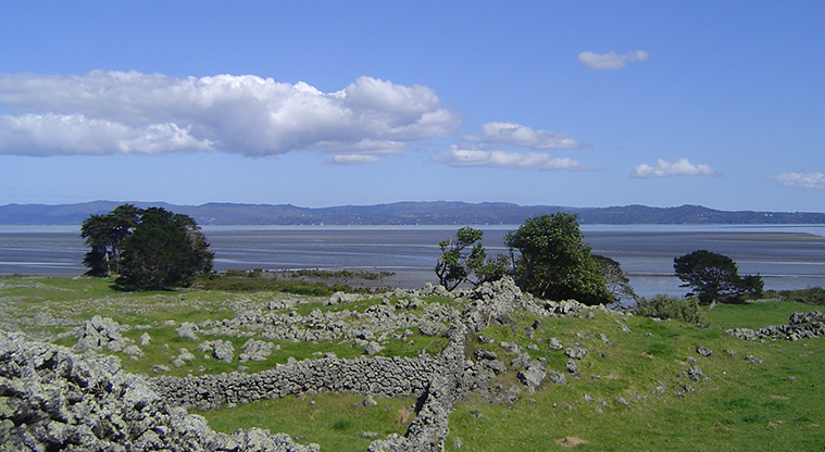 Ōtuataua Stonefields Reserve - View of the stone walls and across the Manukau Harbour.