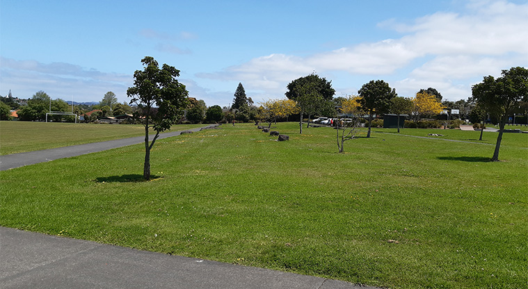 Owairaka Park - Open grassed area with footpaths and a sports field.