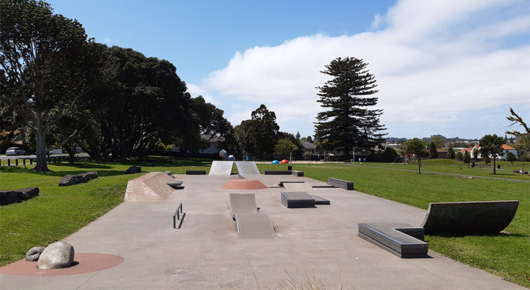 Owairaka Park - Skate park.