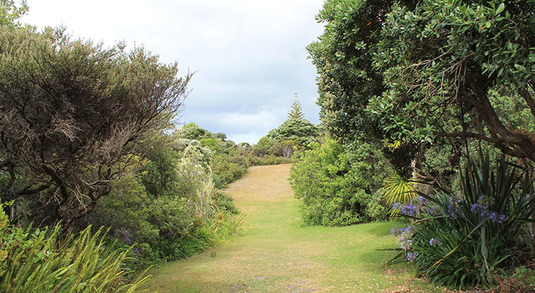 Pacific Parade Coastal Reserve - Area of open green space and trees. Photo credit: M Loubser.