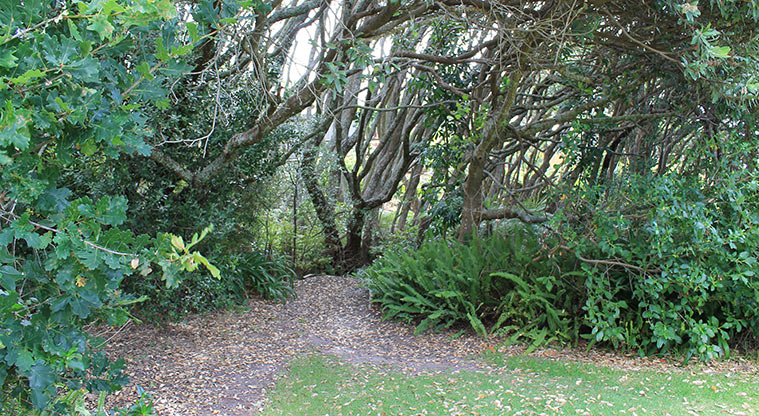 Pacific Parade Coastal Reserve - Trees in the reserve. Photo credit: M Loubser.