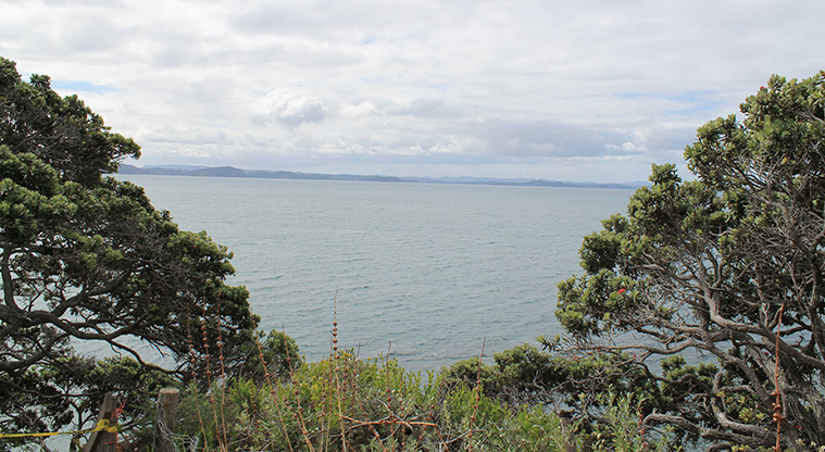 Pacific Parade Coastal Reserve - View from the reserve across the Hauraki Gulf. Photo credit: M Loubser.