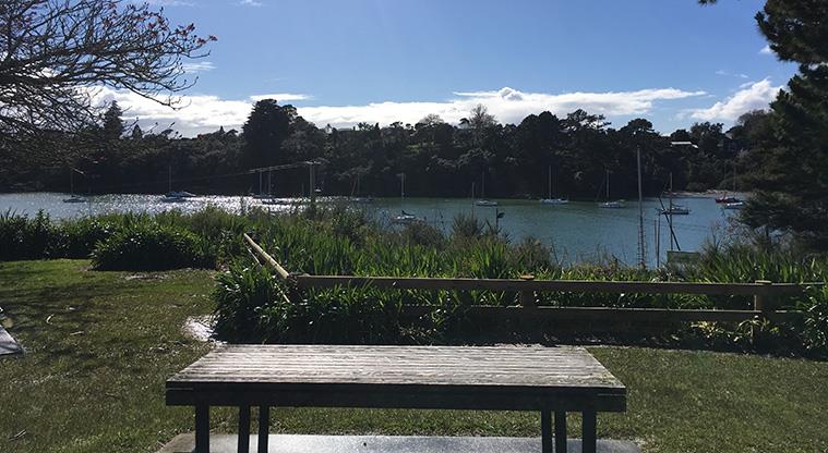 Pahiki Reserve - View looking over the boating club.