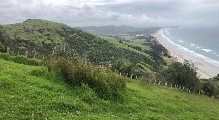Pākiri Regional Park - View from the end of M Greenwoods Road.