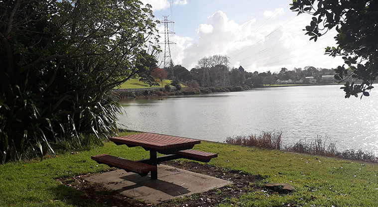 Panmure Basin - Picnic table on the edge of the basin.