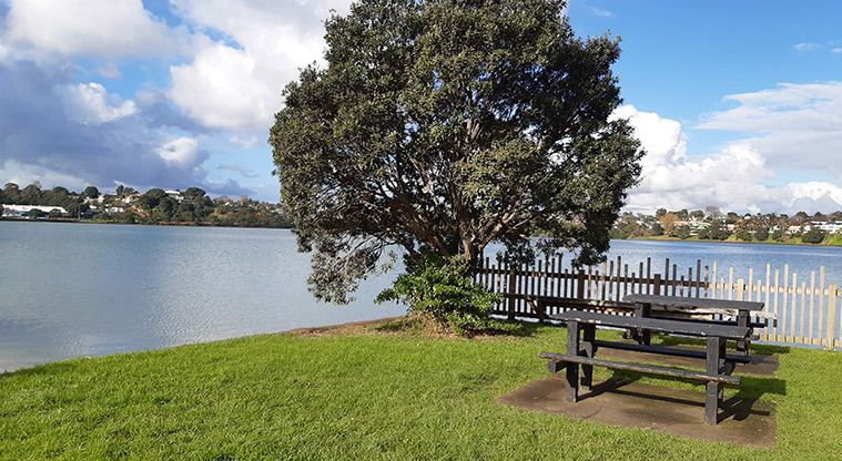Panmure Basin - Picnic table and tree on the edge of the basin.