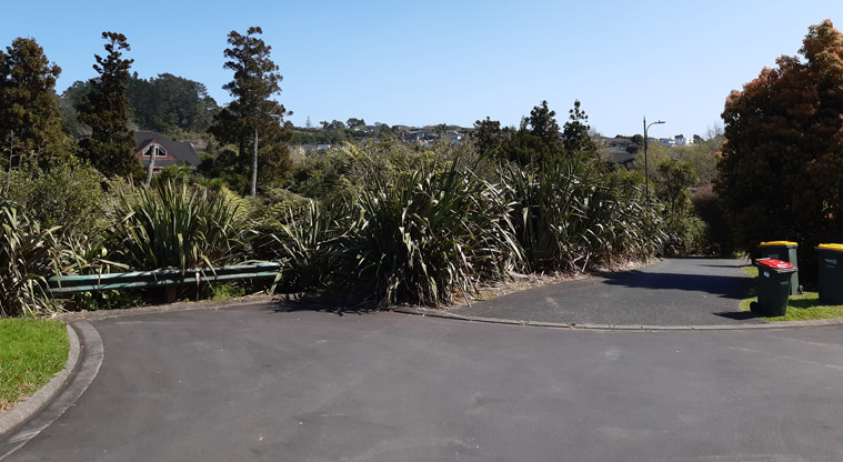 Paremuka Wetland – Pedestrian entry along a shared accessway to the start of a gravel track. This is located at the end of Rosa Place.