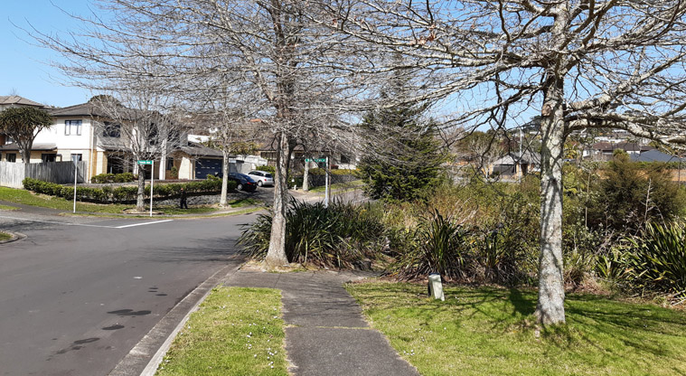 Paremuka Wetland – Pedestrian footpath entry alongside Bilbury Avenue.