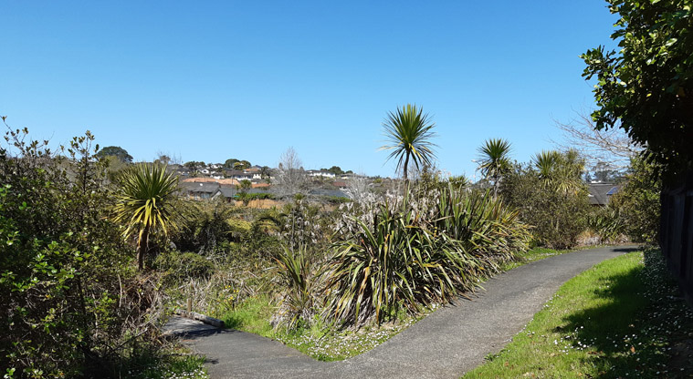 Paremuka Wetland – Steeper section of gravel path providing connections to Xena Park, Bibury Avenue and Lake Panorama Drive.