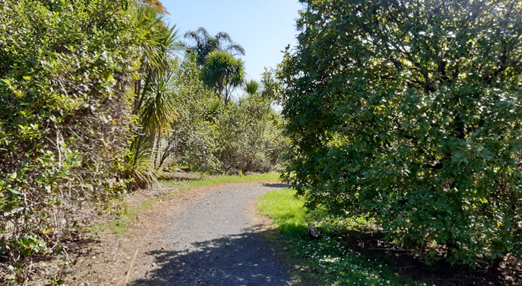Paremuka Wetland – Gravel path through Paremuka Wetland leading up to Xena Park playground.