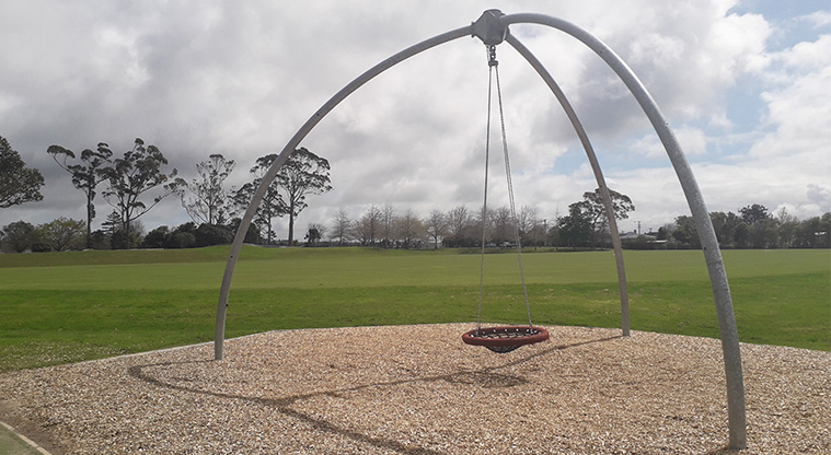 Parrs Park - Bucket swing.