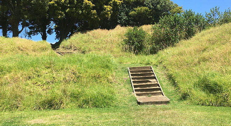 Ōhuiarangi / Pigeon Mountain - Two short sections of steps up the maunga.