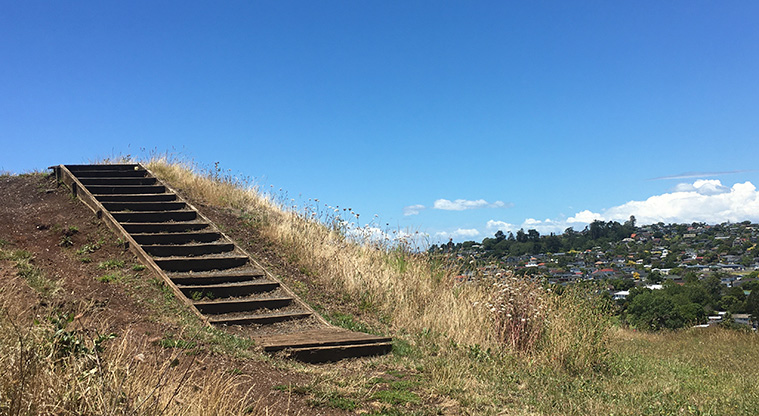 Ōhuiarangi / Pigeon Mountain - A short section of steps up the maunga.